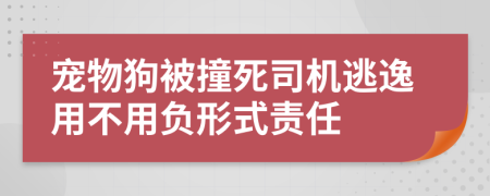 宠物狗被撞死司机逃逸用不用负形式责任