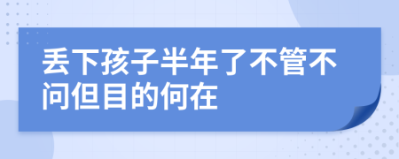 丢下孩子半年了不管不问但目的何在