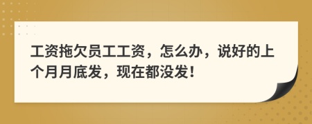 工资拖欠员工工资，怎么办，说好的上个月月底发，现在都没发！
