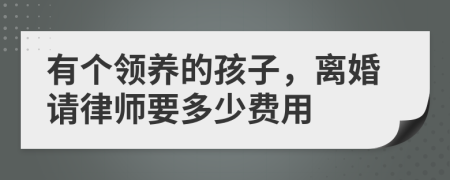 有个领养的孩子，离婚请律师要多少费用