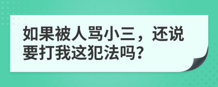 如果被人骂小三，还说要打我这犯法吗？