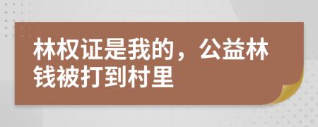 林权证是我的，公益林钱被打到村里