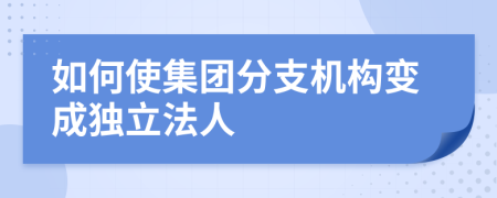 如何使集团分支机构变成独立法人