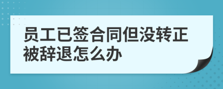 员工已签合同但没转正被辞退怎么办