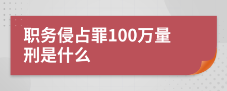 职务侵占罪100万量刑是什么