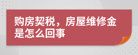 购房契税，房屋维修金是怎么回事