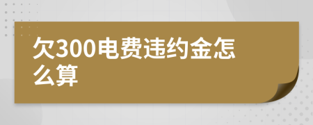 欠300电费违约金怎么算