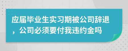 应届毕业生实习期被公司辞退，公司必须要付我违约金吗