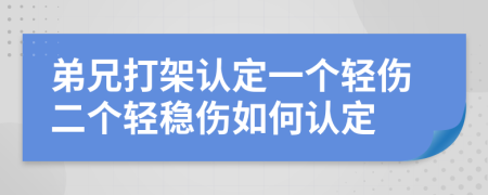 弟兄打架认定一个轻伤二个轻稳伤如何认定