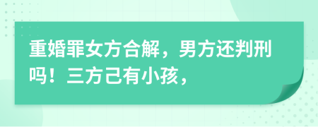 重婚罪女方合解，男方还判刑吗！三方己有小孩，