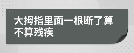 大拇指里面一根断了算不算残疾