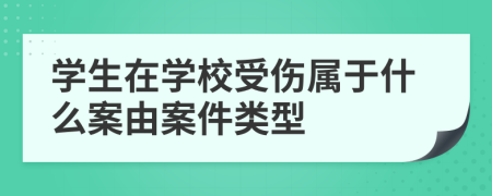 学生在学校受伤属于什么案由案件类型