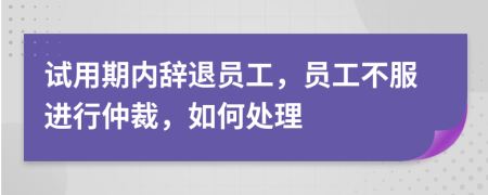 试用期内辞退员工，员工不服进行仲裁，如何处理