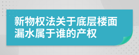 新物权法关于底层楼面漏水属于谁的产权