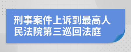 刑事案件上诉到最高人民法院第三巡回法庭