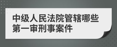 中级人民法院管辖哪些第一审刑事案件