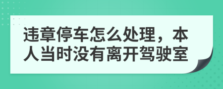 违章停车怎么处理，本人当时没有离开驾驶室