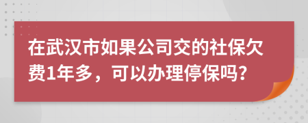 在武汉市如果公司交的社保欠费1年多，可以办理停保吗？