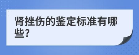 肾挫伤的鉴定标准有哪些?