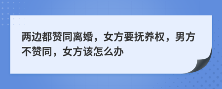 两边都赞同离婚，女方要抚养权，男方不赞同，女方该怎么办