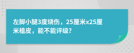 左脚小腿3度烧伤，25厘米x25厘米植皮，能不能评级？