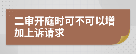 二审开庭时可不可以增加上诉请求