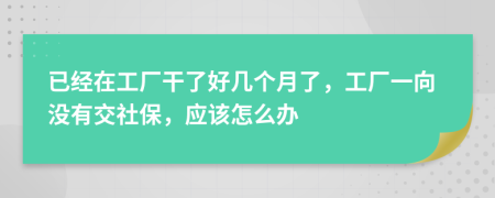 已经在工厂干了好几个月了，工厂一向没有交社保，应该怎么办