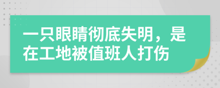 一只眼睛彻底失明，是在工地被值班人打伤