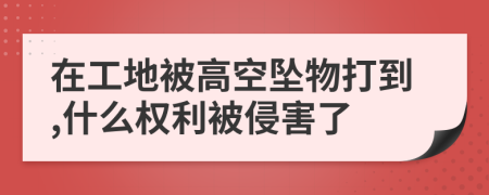 在工地被高空坠物打到,什么权利被侵害了