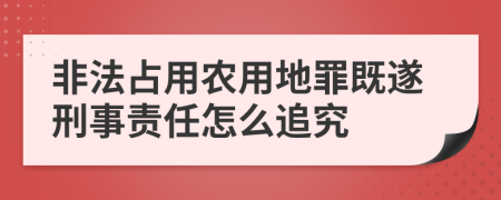 非法占用农用地罪既遂刑事责任怎么追究