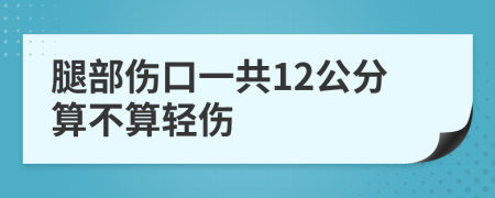 腿部伤口一共12公分算不算轻伤