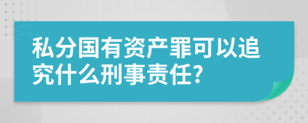 私分国有资产罪可以追究什么刑事责任?