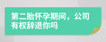 第二胎怀孕期间，公司有权辞退你吗