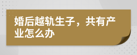 婚后越轨生子，共有产业怎么办