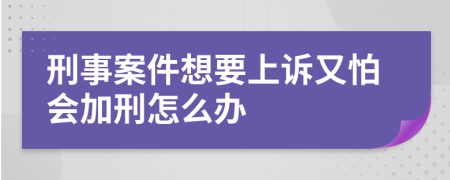 刑事案件想要上诉又怕会加刑怎么办