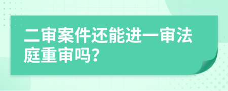 二审案件还能进一审法庭重审吗？