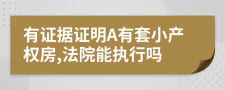 有证据证明A有套小产权房,法院能执行吗