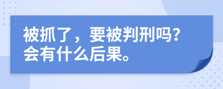 被抓了，要被判刑吗？会有什么后果。