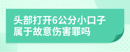 头部打开6公分小口子属于故意伤害罪吗
