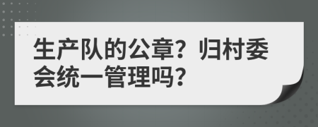 生产队的公章？归村委会统一管理吗？