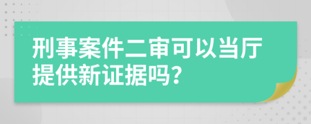 刑事案件二审可以当厅提供新证据吗？