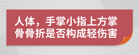 人体，手掌小指上方掌骨骨折是否构成轻伤害