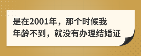 是在2001年，那个时候我年龄不到，就没有办理结婚证