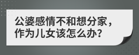 公婆感情不和想分家，作为儿女该怎么办？