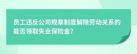 员工违反公司规章制度解除劳动关系的能否领取失业保险金？