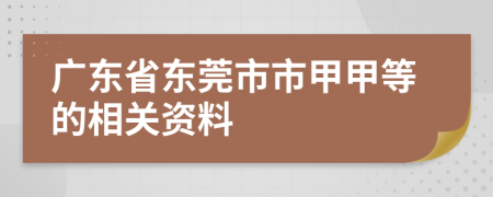 广东省东莞市市甲甲等的相关资料