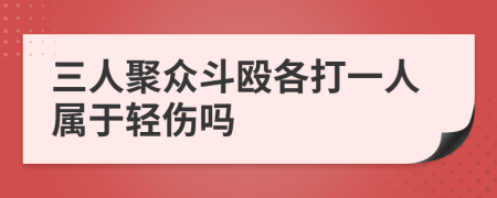 三人聚众斗殴各打一人属于轻伤吗
