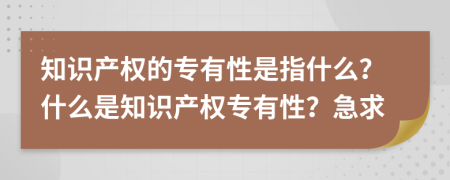 知识产权的专有性是指什么？什么是知识产权专有性？急求