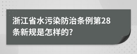 浙江省水污染防治条例第28条新规是怎样的?