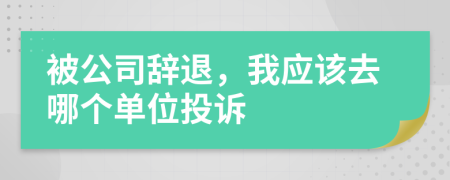 被公司辞退，我应该去哪个单位投诉